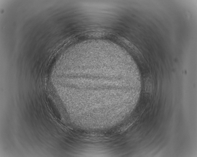 X0000085060737200704021344