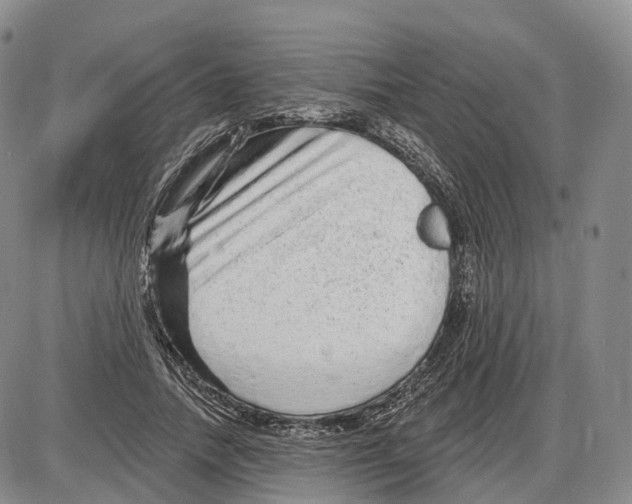 X0000085060738200704021344