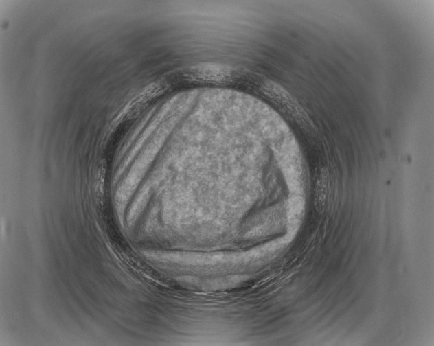X0000085060739200704021344