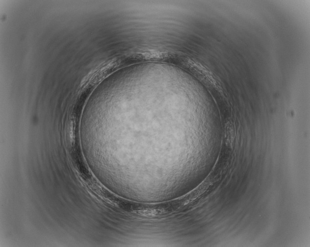 X0000085060740200704021344