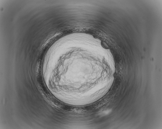 X0000085060742200704021344