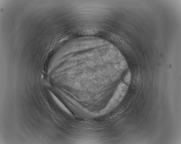 X0000085060743200704021344