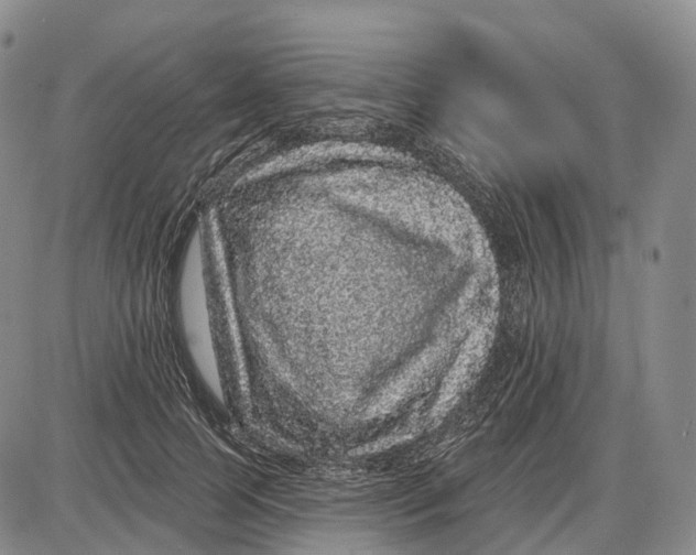 X0000085060745200704021344