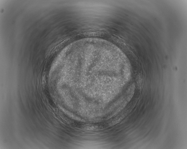 X0000085060746200704021344