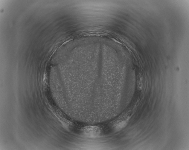 X0000085060748200704021344
