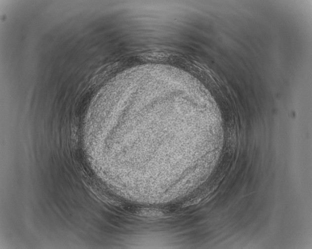 X0000085060749200704021344