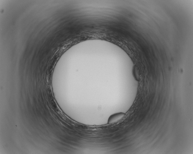 X0000085060752200704021344
