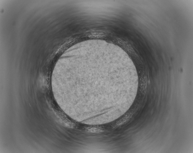 X0000085060755200704021345