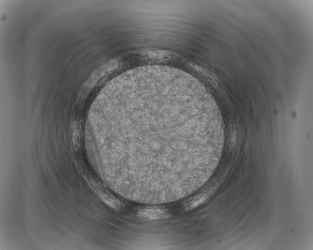 X0000085060759200704021345