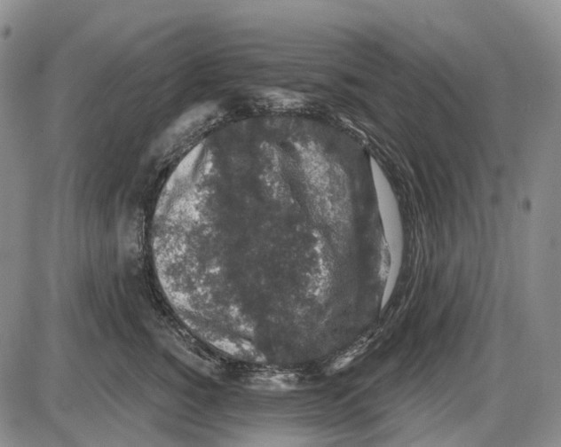 X0000085060760200704021345