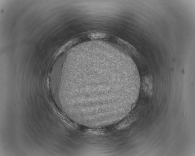 X0000085060763200704021345