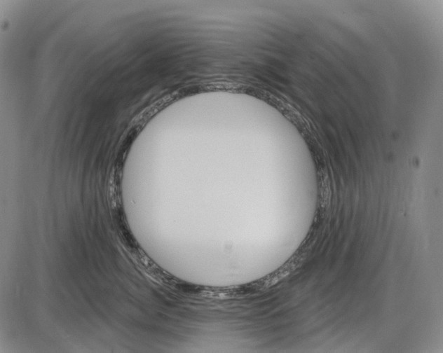 X0000085060764200704021345