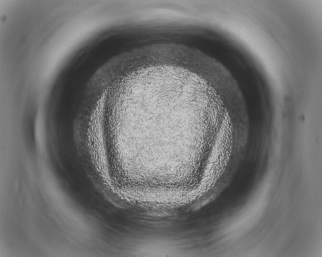 X0000085060765200704021345