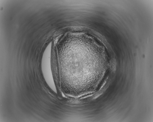 X0000085060766200704021345
