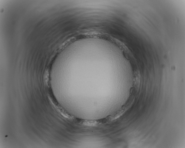 X0000085060767200704021345