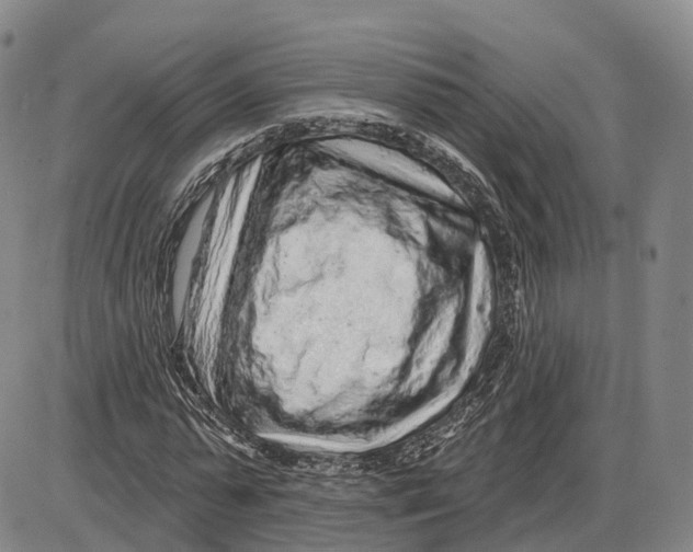 X0000085060775200704021344