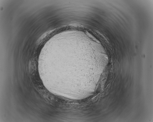 X0000085060776200704021344