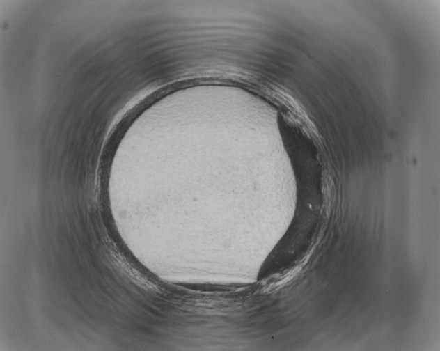 X0000085060780200704021344