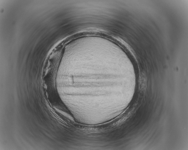 X0000085060783200704021344