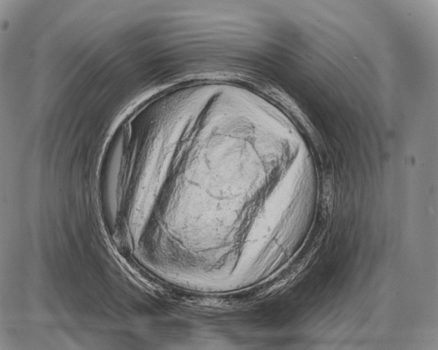 X0000085060787200704021344