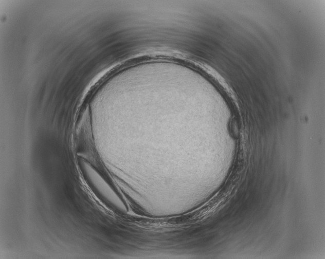 X0000085060791200704021344