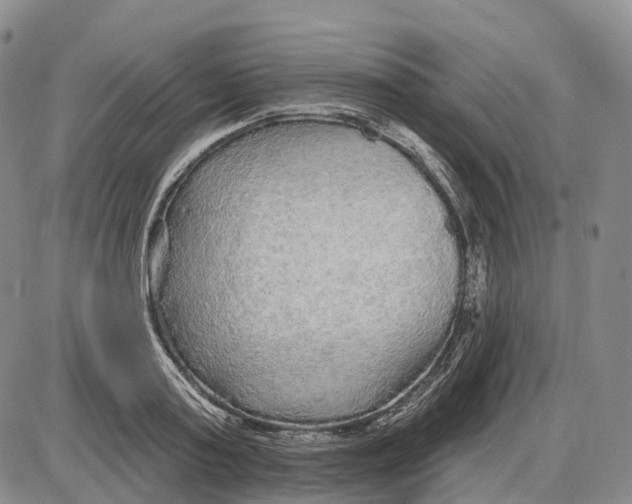 X0000085060795200704021344
