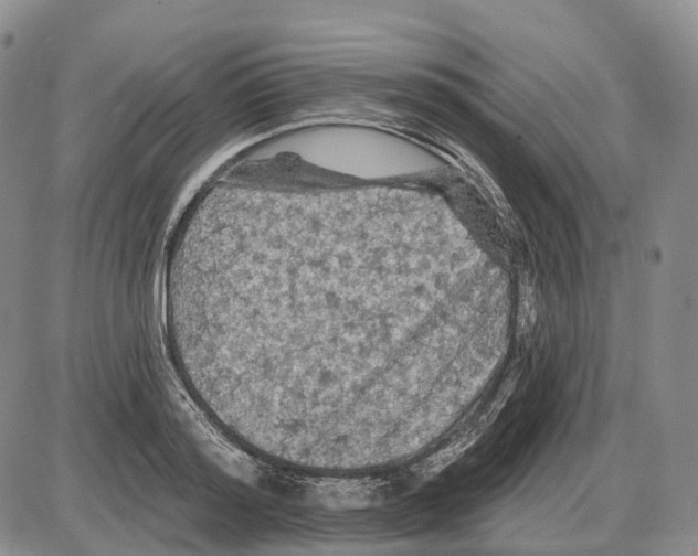 X0000085060796200704021343
