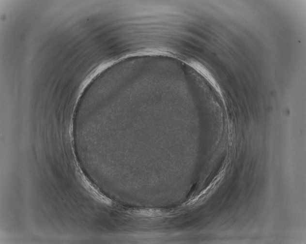X0000085060797200704021343