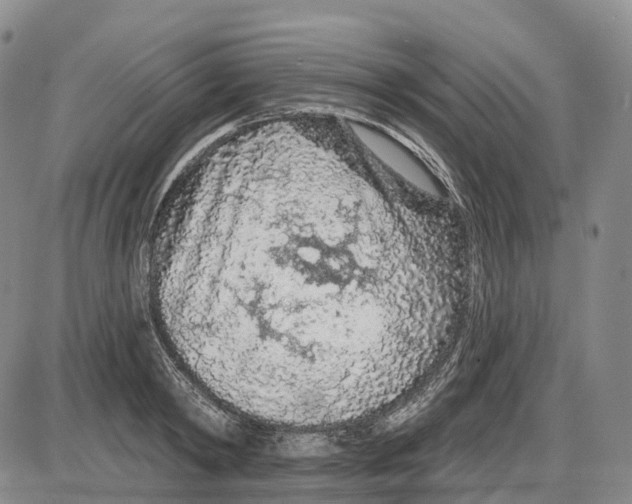 X0000085060798200704021343