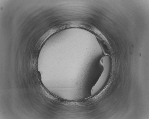 X0000085060801200704021343