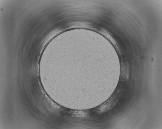 X0000085060807200704021343
