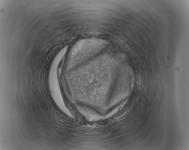 X0000085060818200704021342