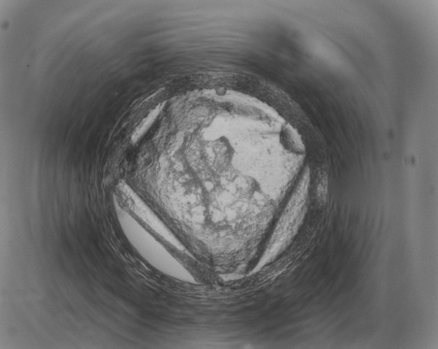 X0000085060819200704021342