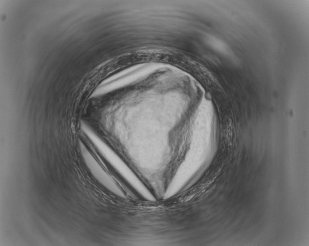 X0000085060821200704021342