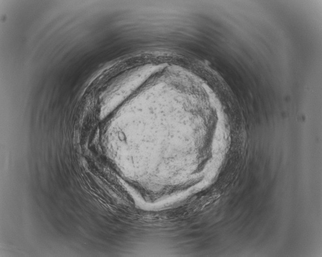 X0000085060823200704021342