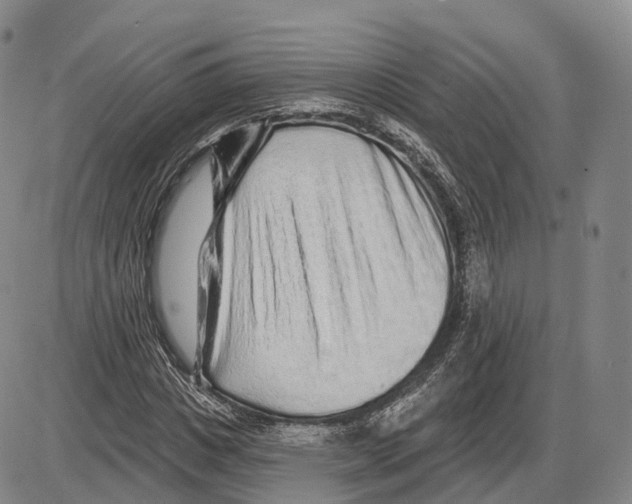X0000085060825200704021342