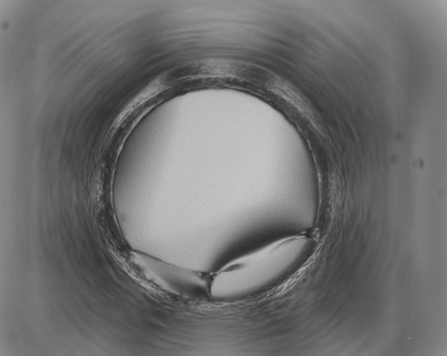 X0000085060826200704021343