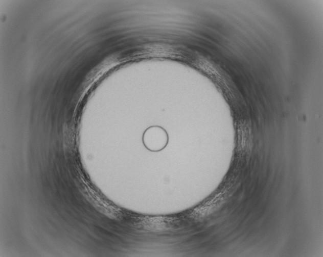 X0000085060828200704021343
