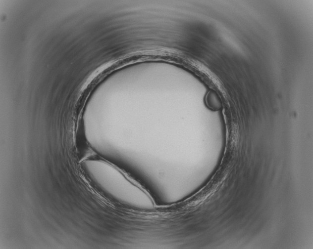X0000085060829200704021343