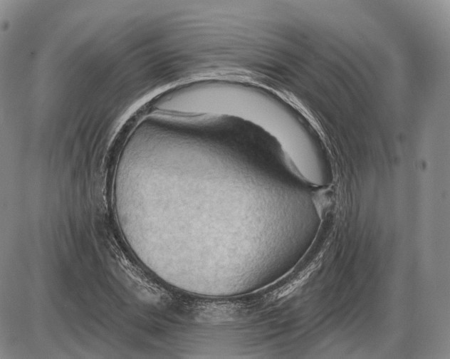 X0000085060830200704021343