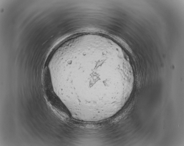 X0000085060839200704021343