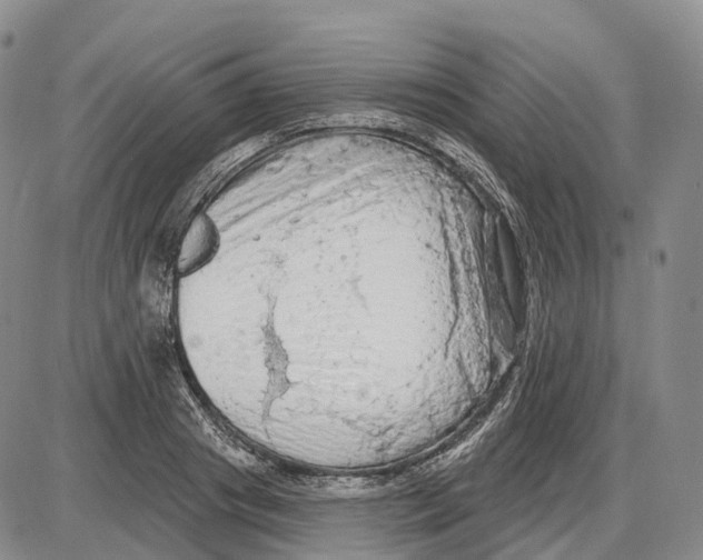 X0000085060841200704021343
