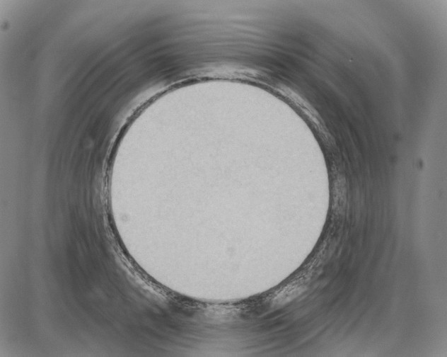 X0000085060848200704021343