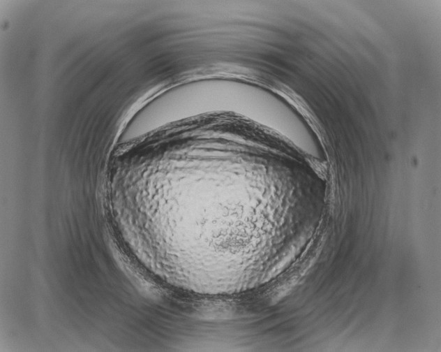 X0000085060850200704021343