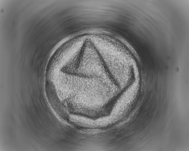 X0000085060853200704021343