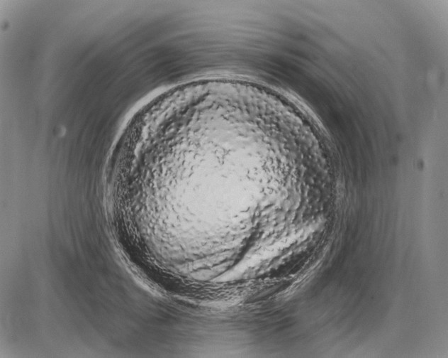 X0000085060854200704021343