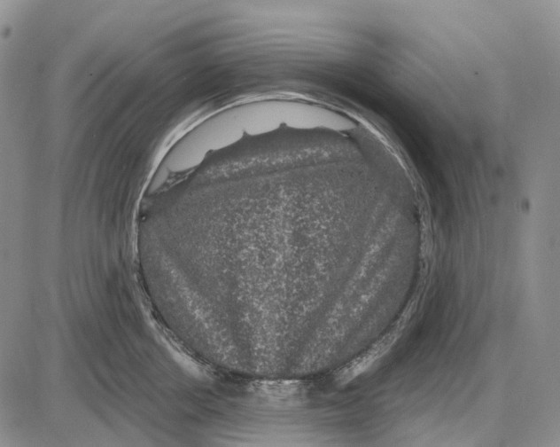 X0000085060858200704021343