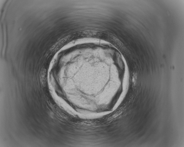 X0000085060867200704021342