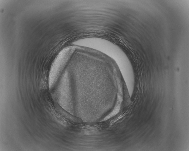 X0000085060868200704021342