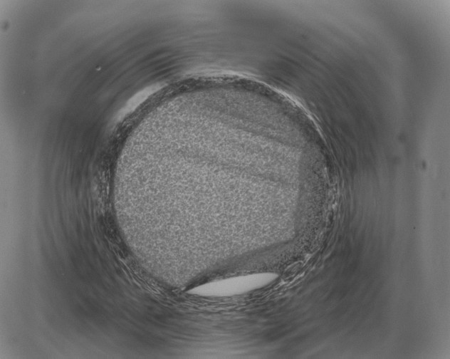 X0000085060871200704021342